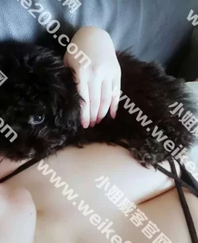 验证F杯的豪乳夹的好爽